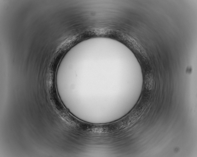 X0000098020740200804181202