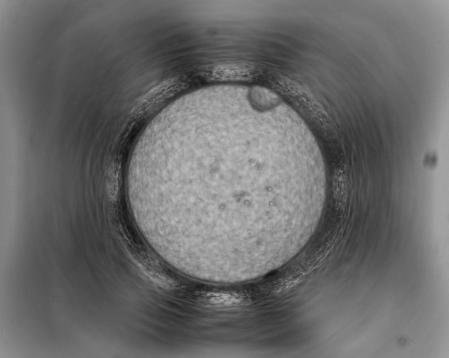 X0000098020741200804181202