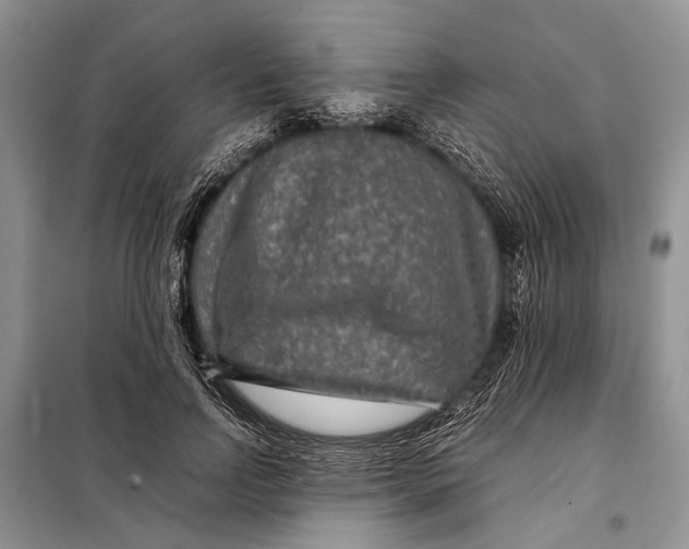 X0000098020742200804181202