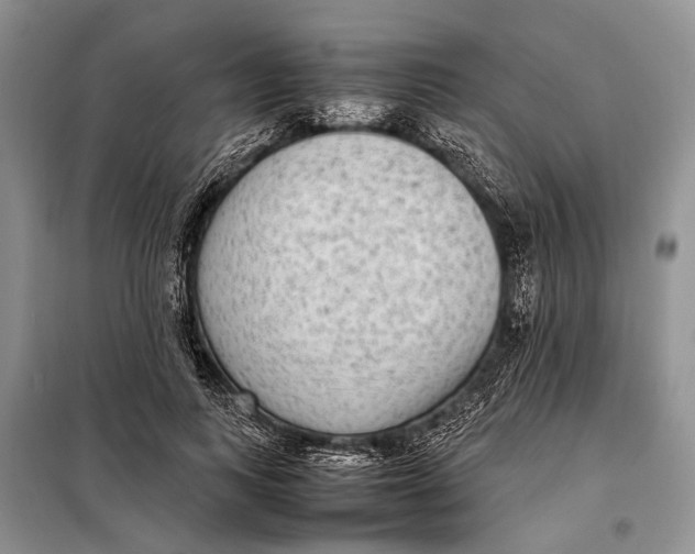 X0000098020743200804181202