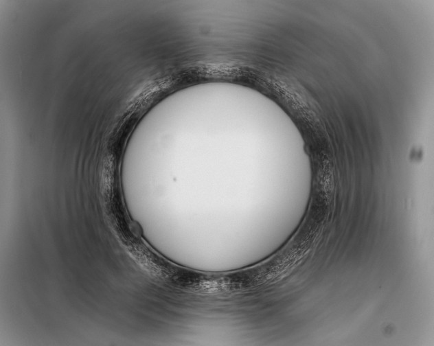 X0000098020744200804181202