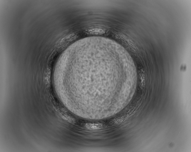 X0000098020745200804181202