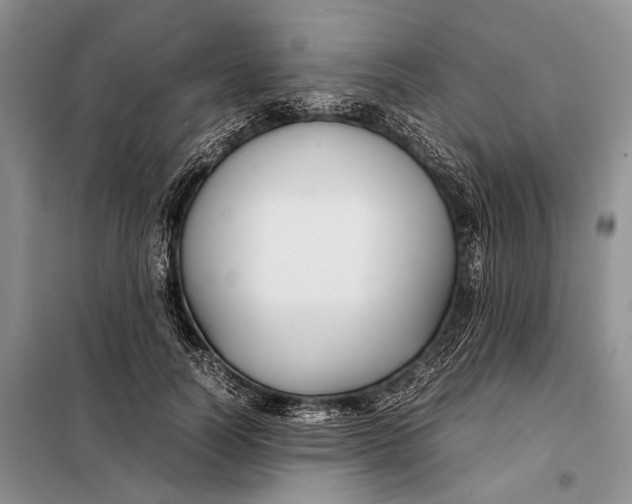 X0000098020746200804181202