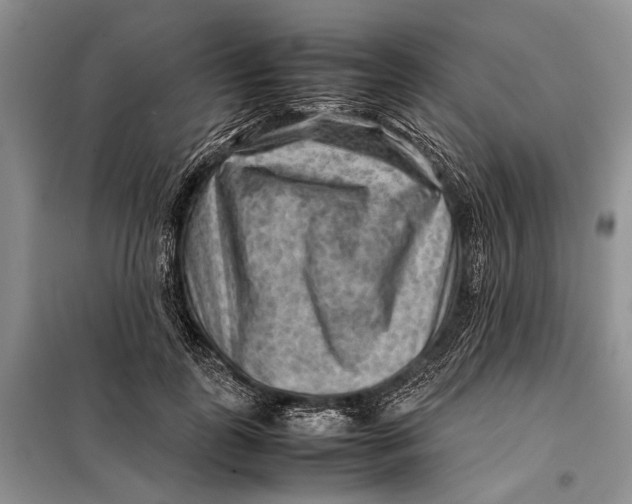 X0000098020747200804181202