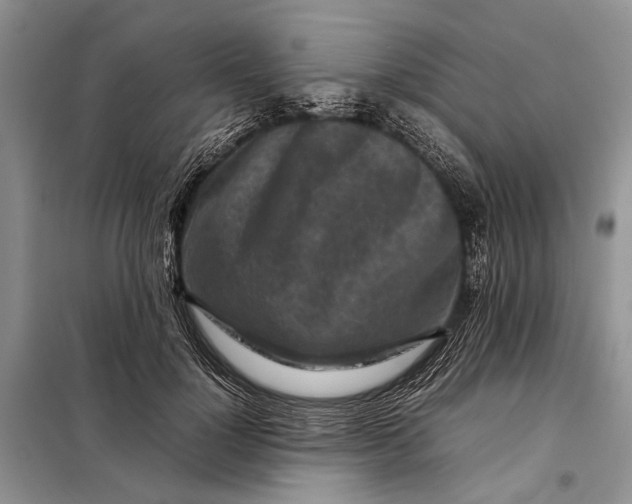 X0000098020748200804181202