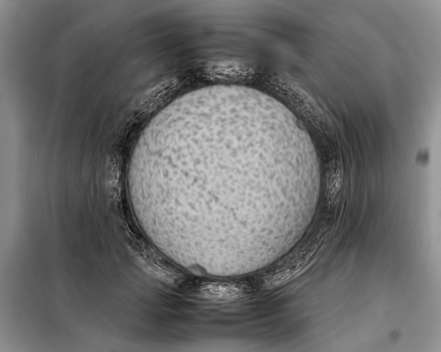 X0000098020749200804181202