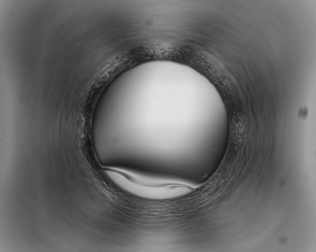 X0000098020750200804181202