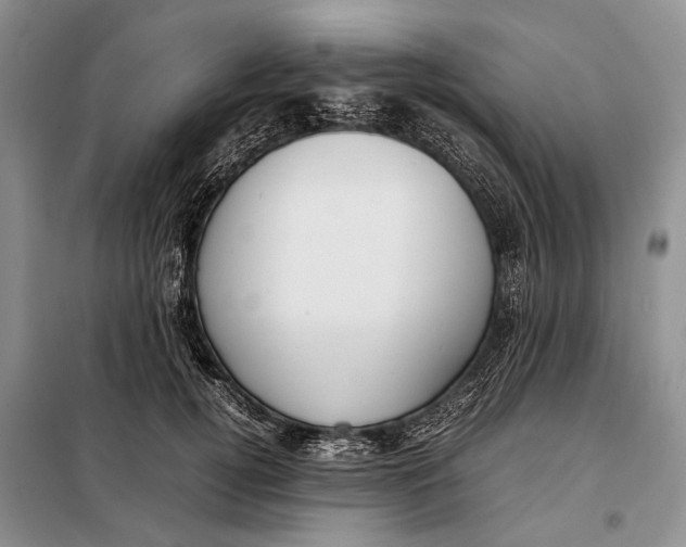 X0000098020752200804181202