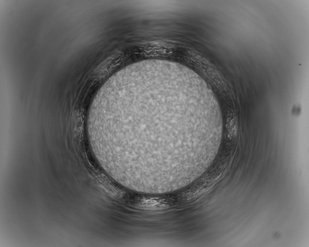 X0000098020753200804181202