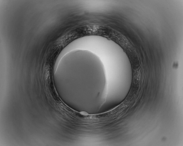 X0000098020754200804181202