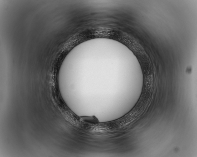 X0000098020755200804181202