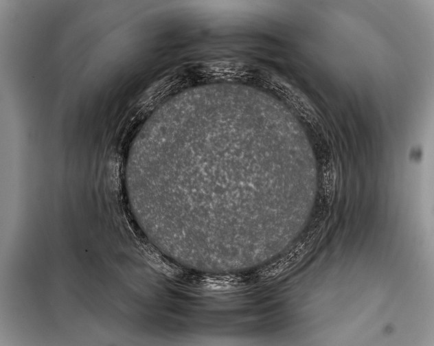 X0000098020757200804181202