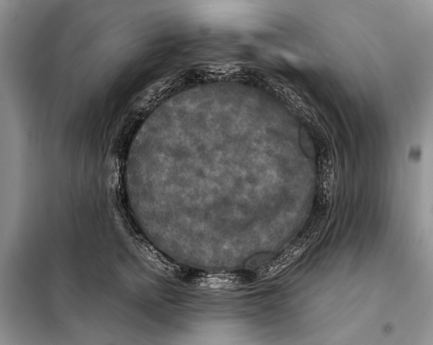 X0000098020758200804181202