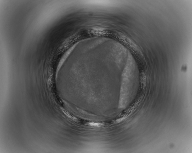 X0000098020760200804181202