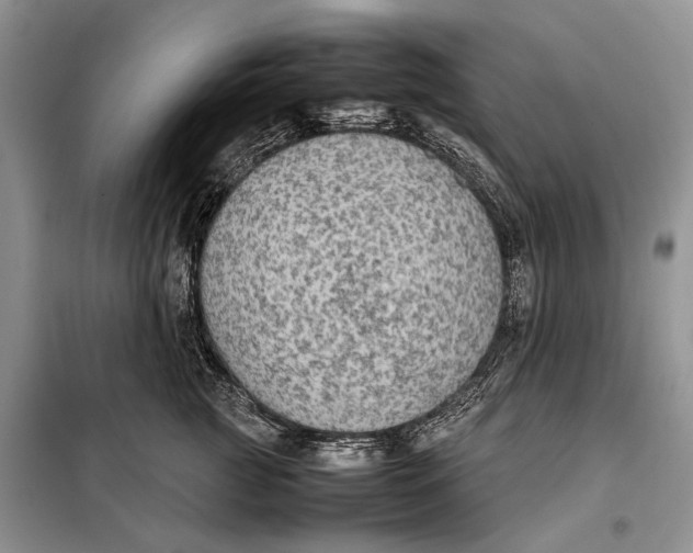 X0000098020761200804181202