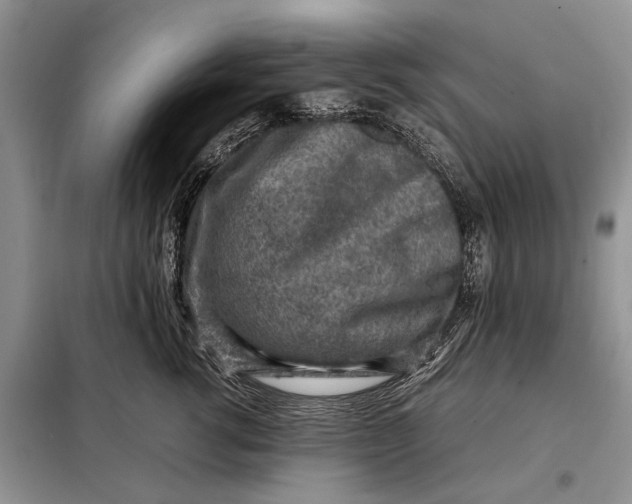 X0000098020762200804181202