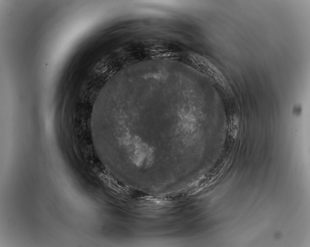 X0000098020763200804181202