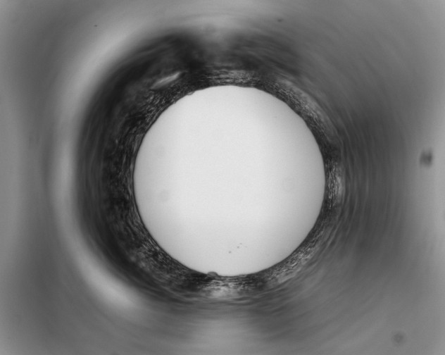 X0000098020764200804181202