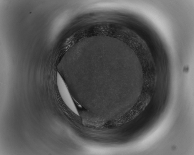 X0000098020766200804181202