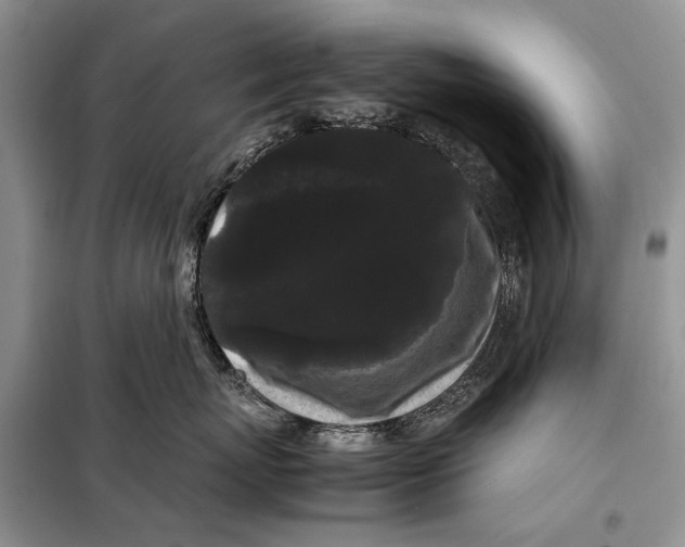 X0000098020767200804181202