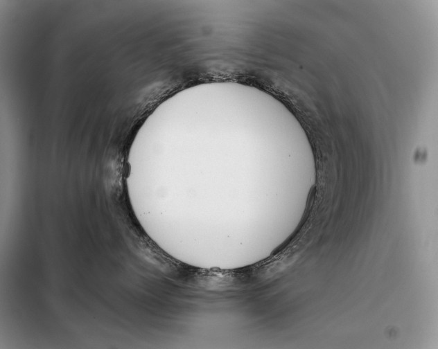 X0000098020768200804181202