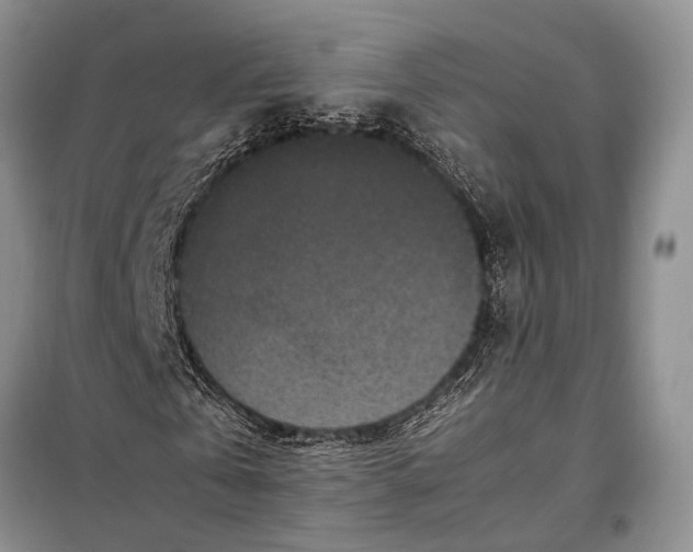 X0000098020769200804181202