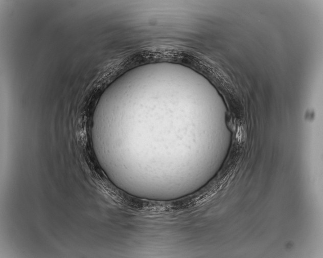 X0000098020771200804181201