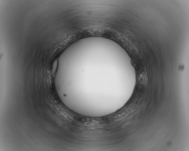 X0000098020772200804181201