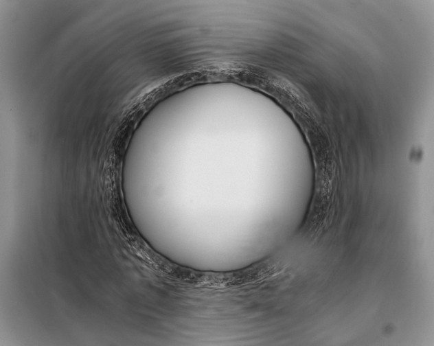 X0000098020773200804181201