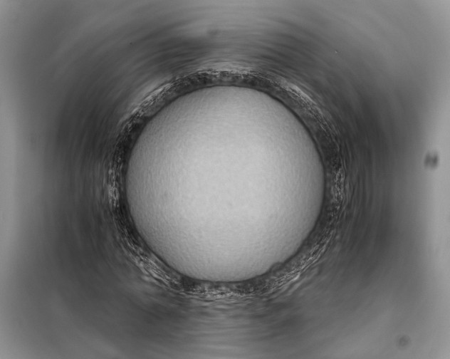 X0000098020774200804181201