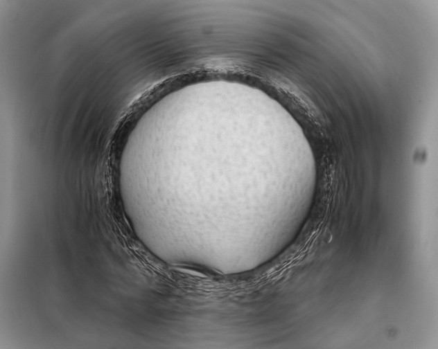 X0000098020776200804181201