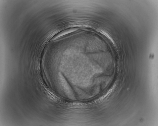 X0000098020777200804181201