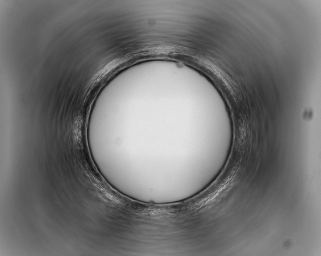 X0000098020778200804181201