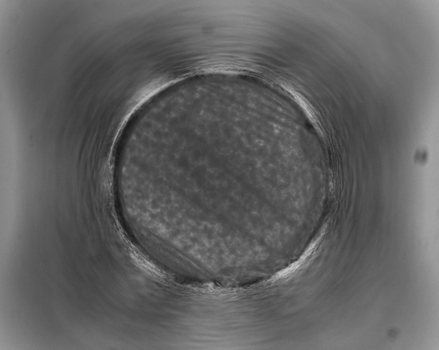 X0000098020779200804181201