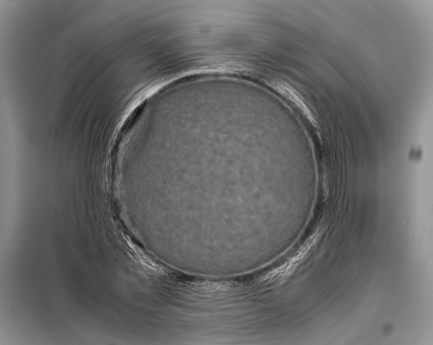 X0000098020781200804181201