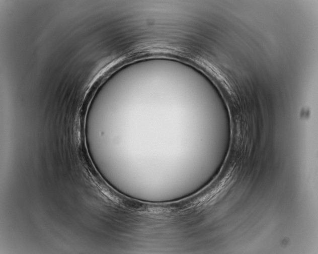 X0000098020782200804181201