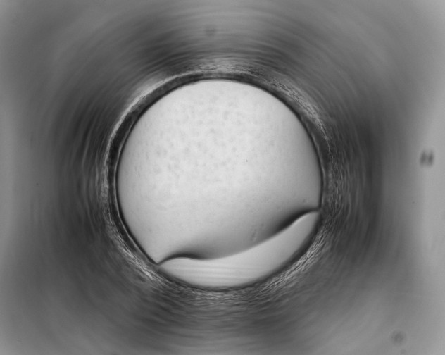 X0000098020784200804181201
