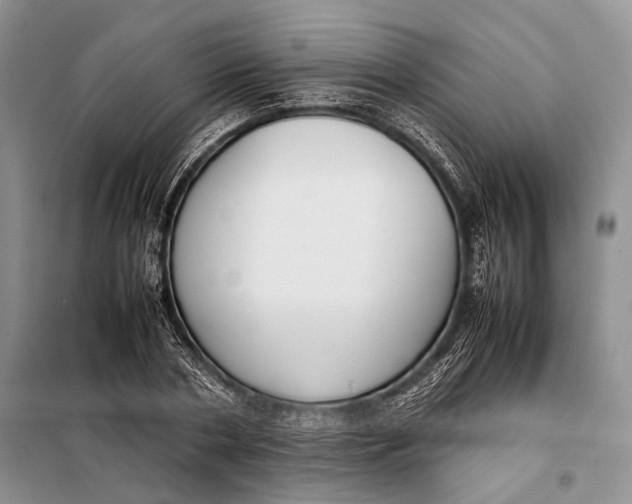 X0000098020786200804181201