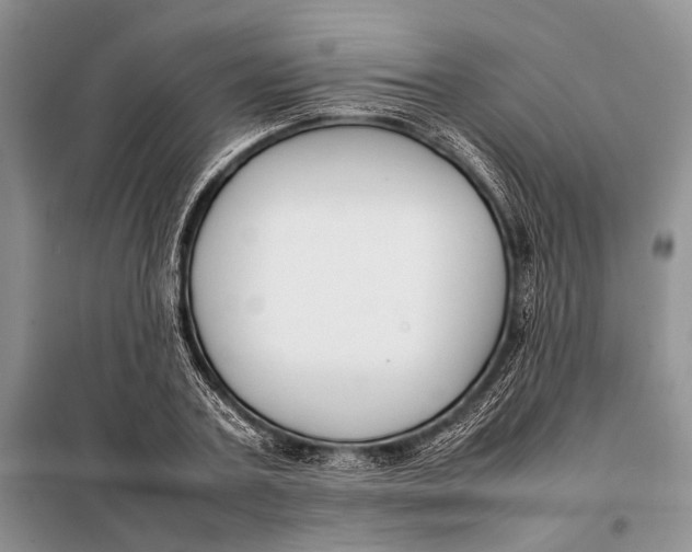 X0000098020787200804181201