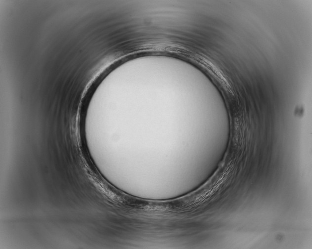 X0000098020788200804181201