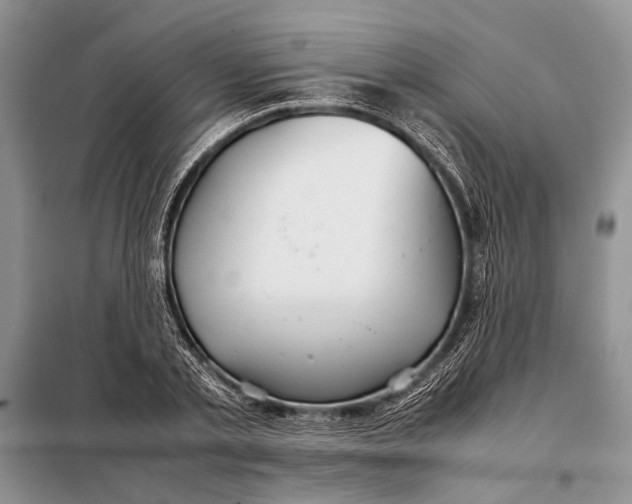 X0000098020789200804181201