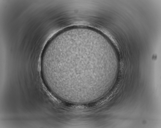 X0000098020791200804181201