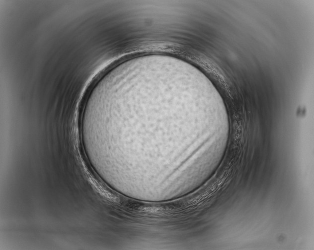 X0000098020792200804181201
