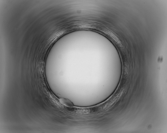 X0000098020793200804181201