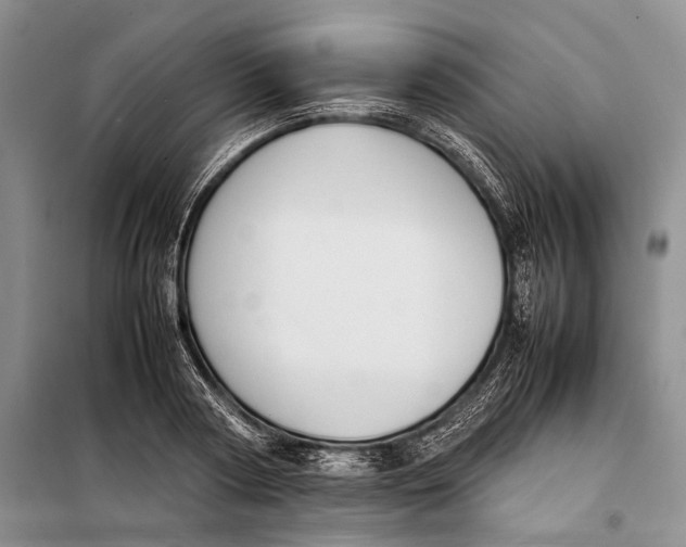 X0000098020794200804181201