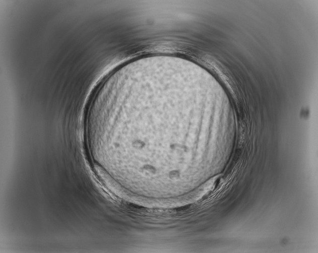 X0000098020795200804181201