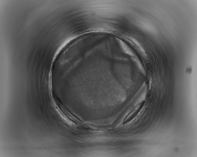 X0000098020796200804181201
