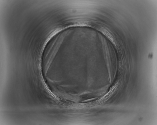 X0000098020797200804181201