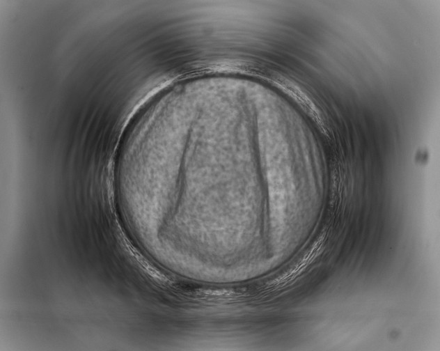 X0000098020798200804181201
