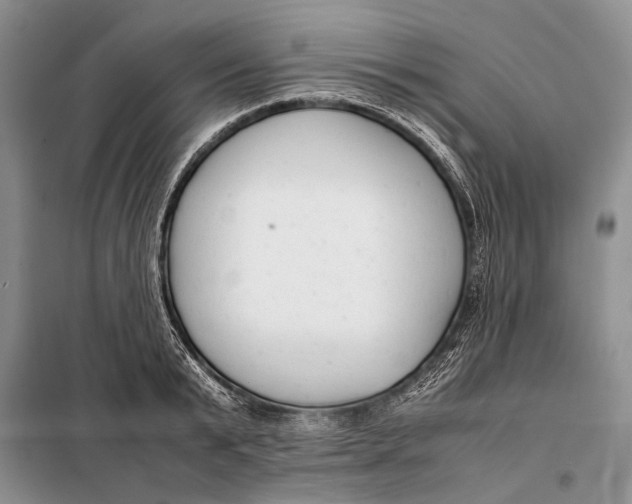 X0000098020799200804181201